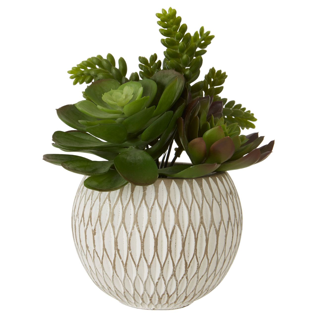 Homewares Fiori White Round Pot Mixed Succulent